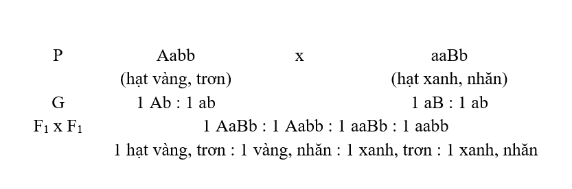 Chuyên đề Sinh học lớp 9