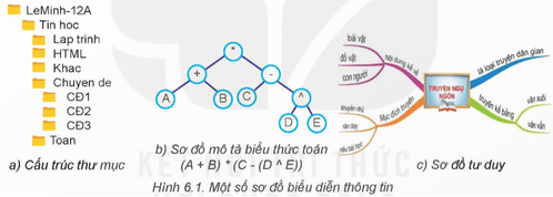 Quan sát các sơ đồ biểu diễn thông tin trong Hình 6.1, em có nhận xét gì?