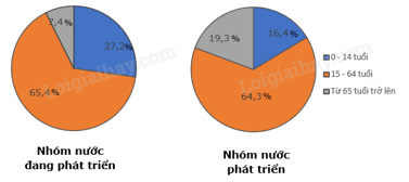 Em chọn dạng biểu đồ mô tả cơ cấu nhóm tuổi của lao động trong một doanh nghiệp