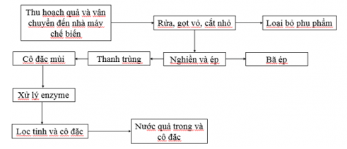 Vẽ sơ đồ quy trình chế biến nước quả cho biết công nghệ enzyme được áp dụng ở công đoạn nào