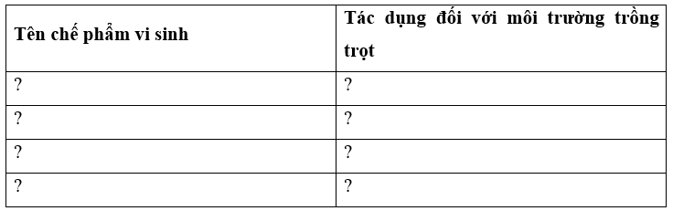 Hãy nêu tác dụng của một số chế phẩm vi sinh để bảo vệ môi trường trồng trọt