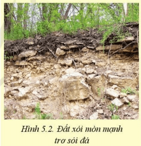 Em hãy mô tả đặc điểm của đất xỏi mòn mạnh trơ sỏi đá trong Hình 5.2