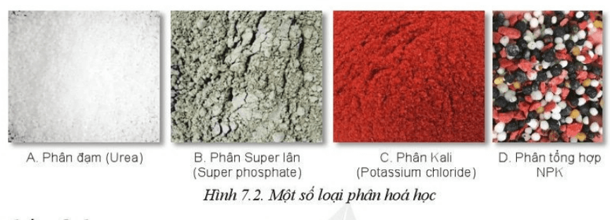 Kể tên và cho biết đặc điểm của các loại phân bón hoá học trong Hình 7.2