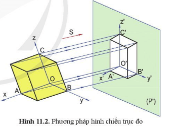 Hình chiếu thu được trên mặt phẳng (P’) theo phương chiếu S (hình 11.2) thể hiện mấy chiều