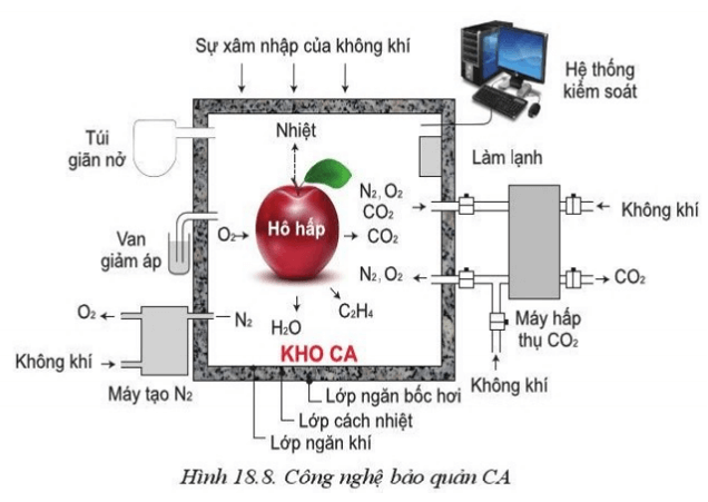 Quan sát Hình 18.8 và cho biết trong kho bảo quản CA, khí nào được điều chỉnh