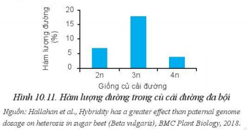 Hãy nhận xét hàm lượng đường trong các giống củ cải đường nhị bộ (2n) và đa bội