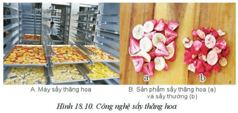 Lý thuyết Công nghệ 10 Cánh diều Bài 18: Ứng dụng công nghệ cao trong thu hoạch, bảo quản và chế biến sản phẩm trồng trọt | Công nghệ trồng trọt 10