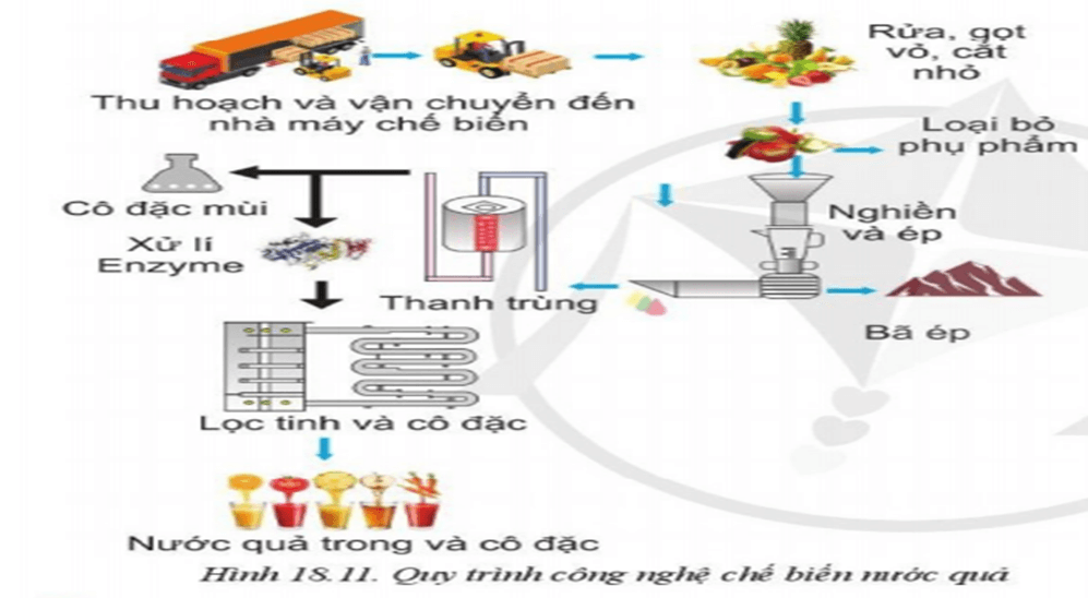 Lý thuyết Công nghệ 10 Cánh diều Bài 18: Ứng dụng công nghệ cao trong thu hoạch, bảo quản và chế biến sản phẩm trồng trọt | Công nghệ trồng trọt 10