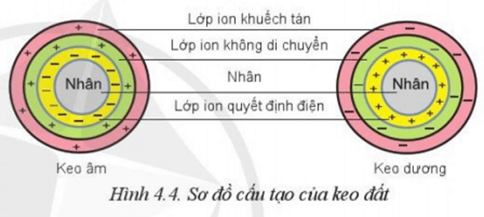 Lý thuyết Công nghệ 10 Cánh diều Bài 4: Thành phần và tính chất của đất trồng | Công nghệ trồng trọt 10