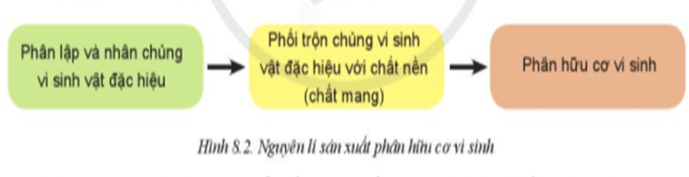 Lý thuyết Công nghệ 10 Cánh diều Bài 8. Ứng dụng công nghệ hiện đại trong sản xuất phân bón | Công nghệ trồng trọt 10