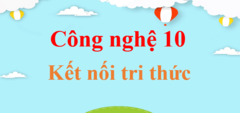 Công nghệ 10 Kết nối tri thức | Giải Công nghệ lớp 10 | Giải bài tập Công nghệ 10 hay nhất | Giải Công nghệ trồng trọt 10 | Giải Thiết kế công nghệ 10 | Công nghệ 10 KNTT