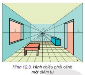 Quan sát Hình 12.3 và cho biết