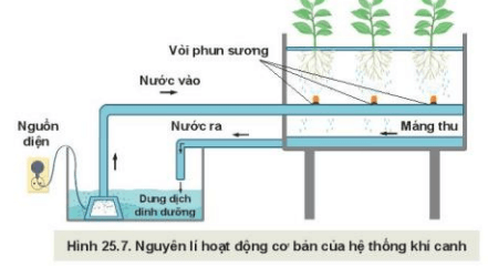 Quan sát Hình 25.7 và mô tả nguyên lí hoạt động của hệ thống khí canh