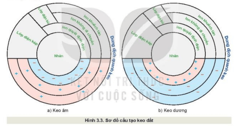 Quan sát Hình 3.3, trình bày cấu tạo của keo đất, phân biệt keo âm và keo dương?c