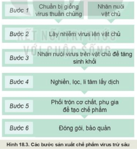 Quan sát Hình 18.3 mô tả các bước sản xuất chế phẩm vi rút trừ sâu.