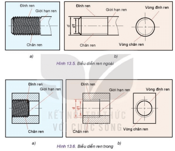 Lý thuyết Công nghệ 10 Kết nối tri thức Bài 13: Biểu diễn quy ước ren | Thiết kế và công nghệ 10