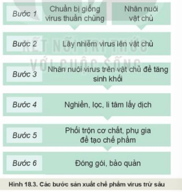 Lý thuyết Công nghệ 10 Kết nối tri thức Bài 18: Ứng dụng công nghệ vi sinh trong phòng trừ sâu, bệnh hại cây trồng | Công nghệ trồng trọt 10