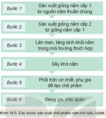 Lý thuyết Công nghệ 10 Kết nối tri thức Bài 18: Ứng dụng công nghệ vi sinh trong phòng trừ sâu, bệnh hại cây trồng | Công nghệ trồng trọt 10