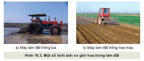 Lý thuyết Công nghệ 10 Kết nối tri thức Bài 19: Quy trình trồng trọt và cơ giới hoá trong trồng trọt | Công nghệ trồng trọt 10