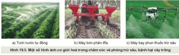 Lý thuyết Công nghệ 10 Kết nối tri thức Bài 19: Quy trình trồng trọt và cơ giới hoá trong trồng trọt | Công nghệ trồng trọt 10