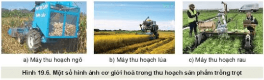 Lý thuyết Công nghệ 10 Kết nối tri thức Bài 19: Quy trình trồng trọt và cơ giới hoá trong trồng trọt | Công nghệ trồng trọt 10