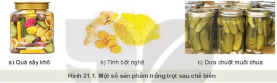 Lý thuyết Công nghệ 10 Kết nối tri thức Bài 21: Chế biến sản phẩm trồng trọt | Công nghệ trồng trọt 10