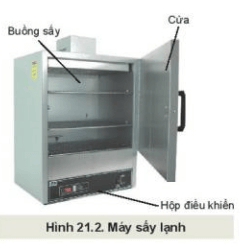 Lý thuyết Công nghệ 10 Kết nối tri thức Bài 21: Chế biến sản phẩm trồng trọt | Công nghệ trồng trọt 10