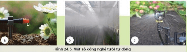 Lý thuyết Công nghệ 10 Kết nối tri thức Bài 24: Một số công nghệ cao trong trồng trọt | Công nghệ trồng trọt 10