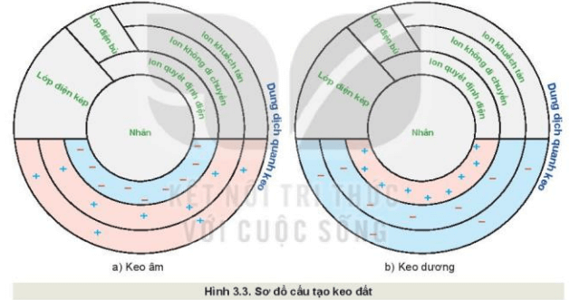 Lý thuyết Công nghệ 10 Kết nối tri thức Bài 3: Giới thiệu về đất trồng | Công nghệ trồng trọt 10