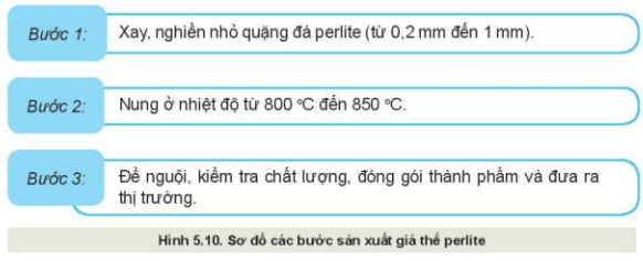 Lý thuyết Công nghệ 10 Kết nối tri thức Bài 5: Giá thể trồng cây | Công nghệ trồng trọt 10