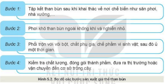 Lý thuyết Công nghệ 10 Kết nối tri thức Bài 5: Giá thể trồng cây | Công nghệ trồng trọt 10