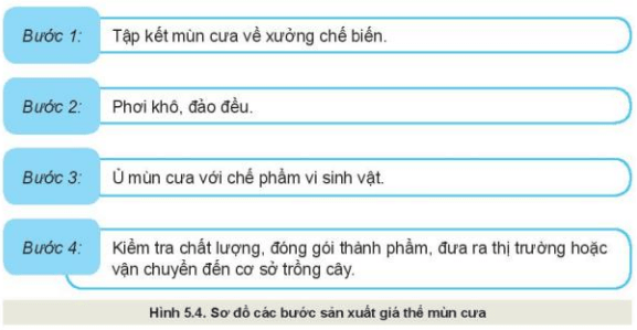 Lý thuyết Công nghệ 10 Kết nối tri thức Bài 5: Giá thể trồng cây | Công nghệ trồng trọt 10