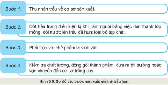 Lý thuyết Công nghệ 10 Kết nối tri thức Bài 5: Giá thể trồng cây | Công nghệ trồng trọt 10