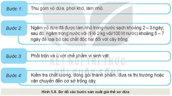 Lý thuyết Công nghệ 10 Kết nối tri thức Bài 5: Giá thể trồng cây | Công nghệ trồng trọt 10