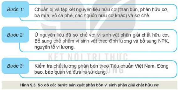 Lý thuyết Công nghệ 10 Kết nối tri thức Bài 9: Sử dụng công nghệ vi sinh trong sản xuất phân bón | Công nghệ trồng trọt 10