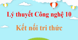 Tổng hợp Lý thuyết Công nghệ 10 Kết nối tri thức đầy đủ, mới nhất