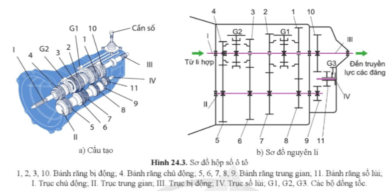 Quan sát hình 24.3b, hãy cho biết: cấu tạo và nguyên lí làm việc của hộp số