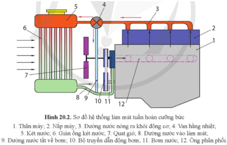 Quan sát hình 20.2, chỉ ra các bộ phận chính và nguyên lí làm việc của hệ thống