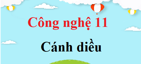 Công nghệ 11 Cánh diều | Giải bài tập Công nghệ 11 (hay nhất, ngắn gọn) | Soạn Công nghệ 11 Cánh diều