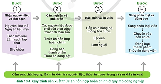  Mô tả các bước cơ bản của quy trình sản xuất thức ăn đậm đặc ở Hình 10.4