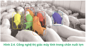  Hãy nêu tác dụng của công nghệ thị giác máy tính trong Hình 2.4