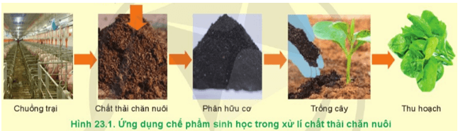  Hãy cho biết vai trò của chế phẩm sinh học được thể hiện trong Hình 23.1