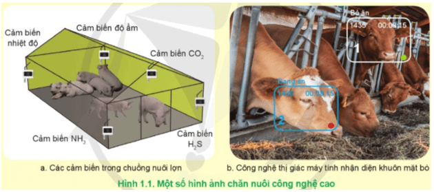  Hãy mô tả các công nghệ cao được ứng dụng trong chăn nuôi ở Hình 1.1