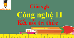 Công nghệ 11 Kết nối tri thức | Giải bài tập Công nghệ 11 (hay nhất, ngắn gọn) | Soạn Công nghệ 11 Kết nối tri thức