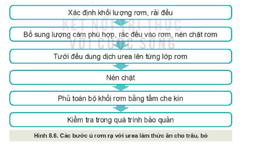 Quan sát Hình 8.6 và mô tả các bước ủ rơm rạ với urea làm thức ăn cho trâu, bò