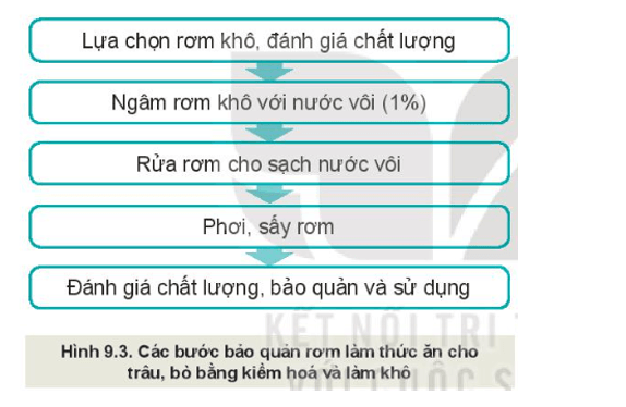 Quan sát Hình 9.3 và mô tả các bước bảo quản thức ăn (rơm) cho trâu, bò 