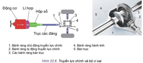 Quan sát Hình 22.6 và cho biết chi tiết nào quyết định tỉ số truyền của truyền lực chính