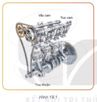 Nhận biết chi tiết xu páp trên Hình 19.1