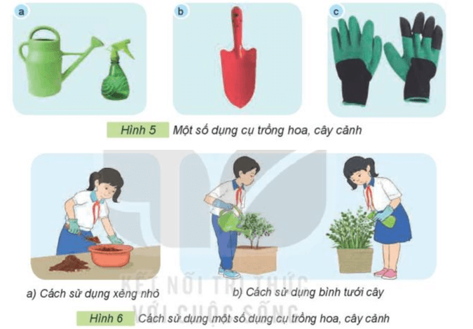 Công nghệ lớp 4 Kết nối tri thức Bài 3: Vật liệu và dụng cụ trồng hoa, cây cảnh trong chậu