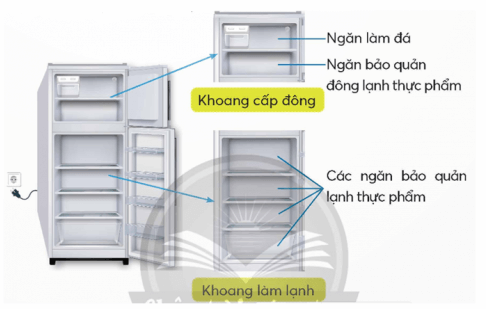 Công nghệ lớp 5 Chân trời sáng tạo Bài 6: Sử dụng tủ lạnh